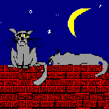 cat gif