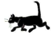 cat gif