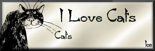 cat gif