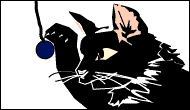 cat gif