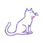 cat gif