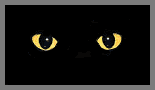 cat gif