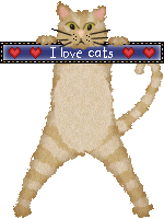 cat gif