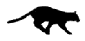 cat gif