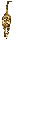 cat gif