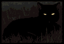 cat gif
