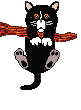 cat gif