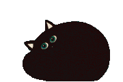 cat gif