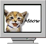 cat gif