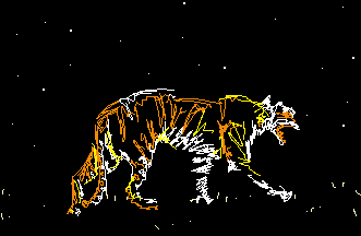 cat gif