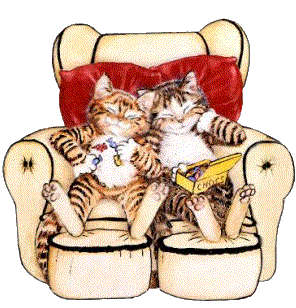 cat gif