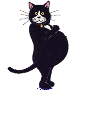 cat gif