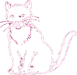 cat gif