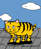 cat gif