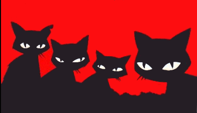 cat gif