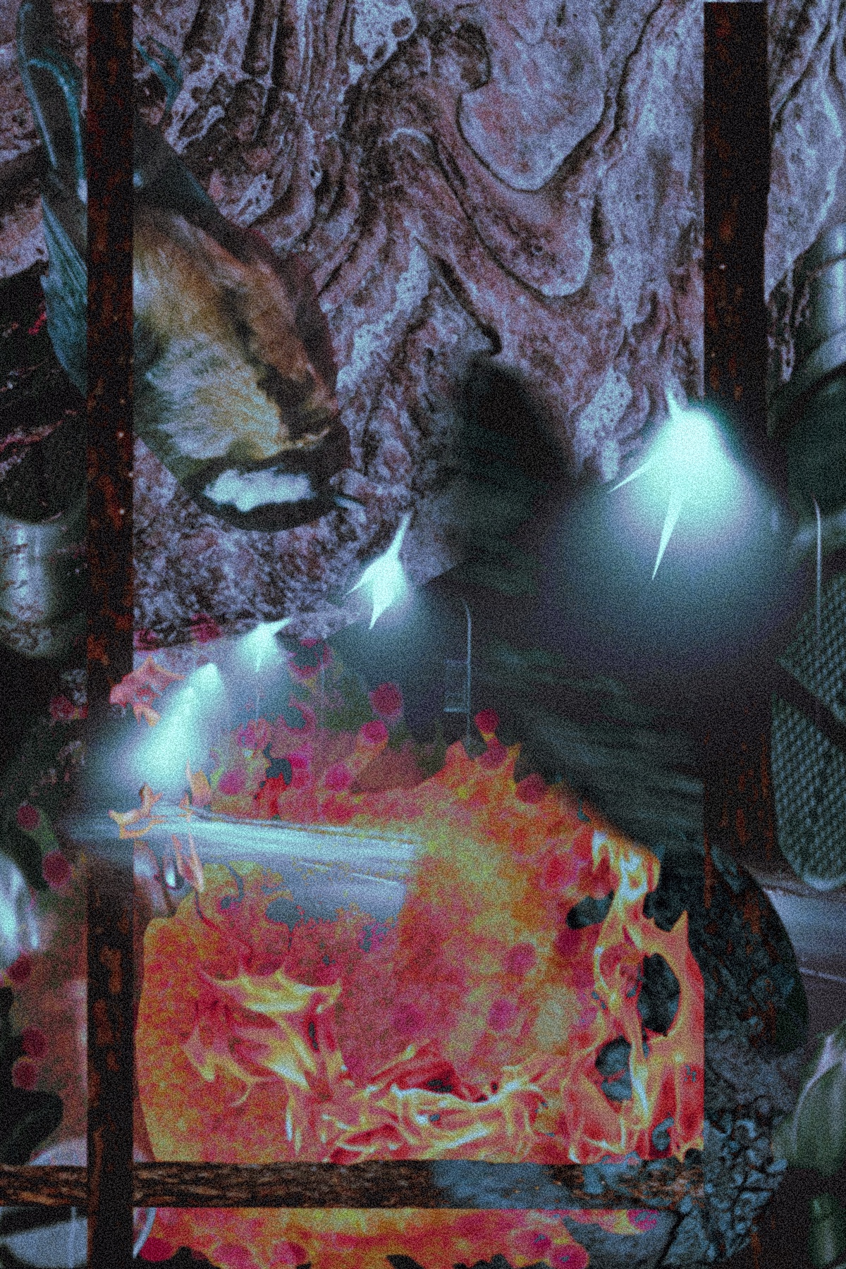 multicolor digital collage containing fragmented images of a bird, streetlight, and fire