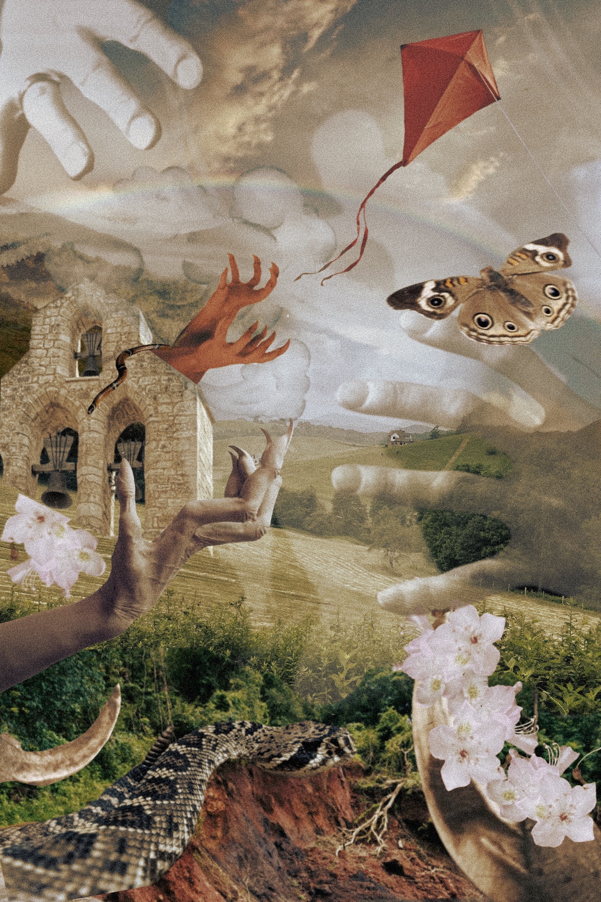 digital collage containing images of hands, claws, snake, kite, butterfly